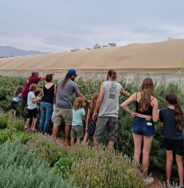 Elifaz Desert Experience Holiday 외부 사진