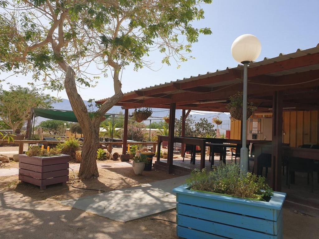 Elifaz Desert Experience Holiday 외부 사진