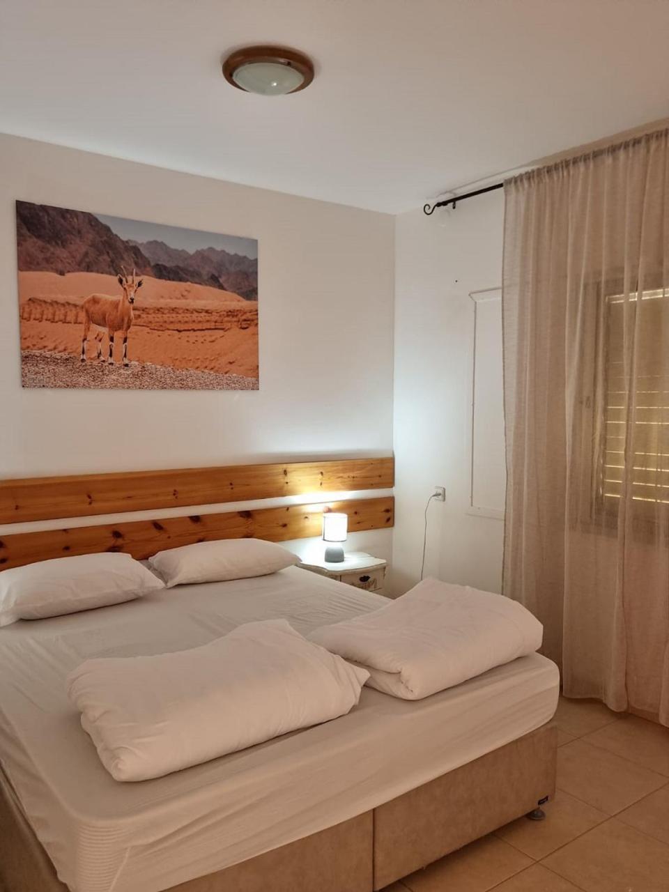 Elifaz Desert Experience Holiday 외부 사진