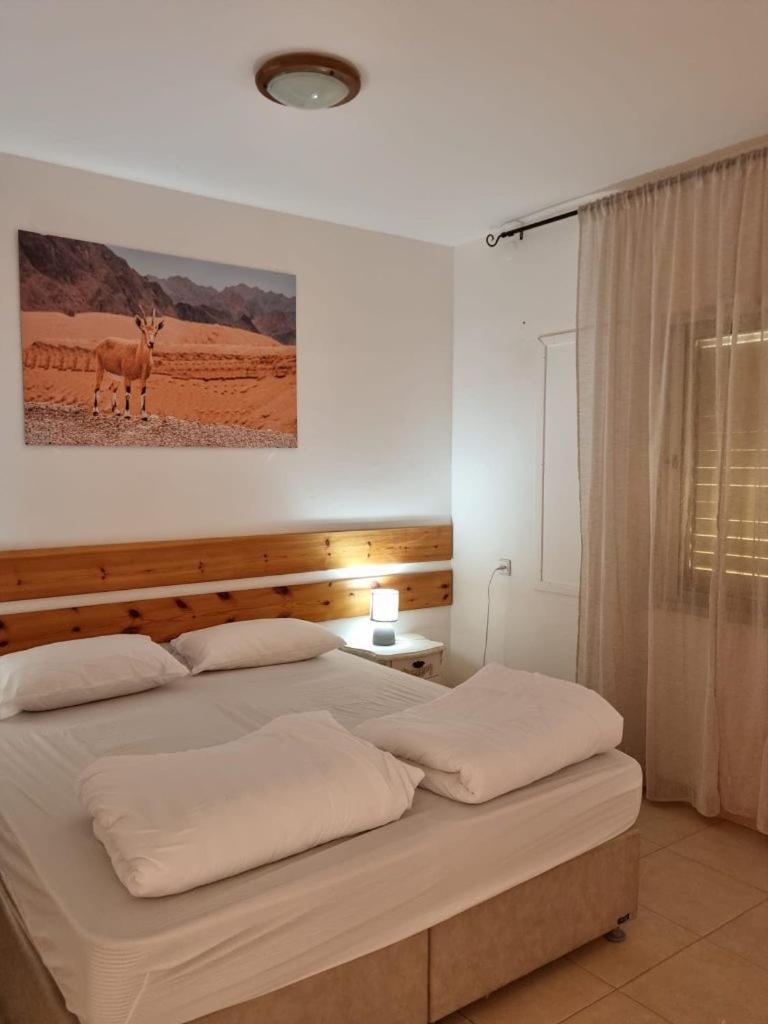 Elifaz Desert Experience Holiday 외부 사진